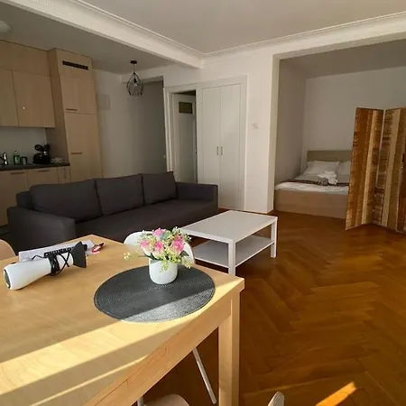 Sunny Little Studio-city Centre & Train Station Apartamento Lausana